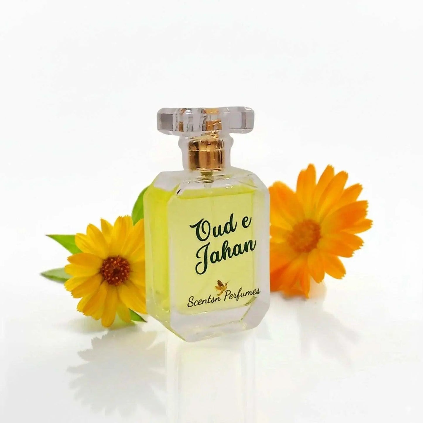 Oud e Jahan perfume bottle with intricate design, showcasing the luxurious scent by ScentsnPerfumes.